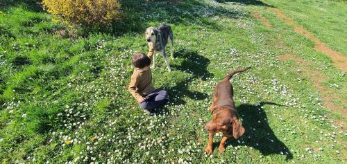 a young boy and a dog in a field at Villa “Nadezhda” in Tsareva Livada