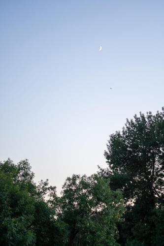 a group of trees with the sky in the background at Beijing Le Zai Nan Luo Gu Xiang Wang Fu Jing Forbidden City Courtyard Hotel&Free laundry service&Free coffee &Paid Dumpling experience service in Beijing