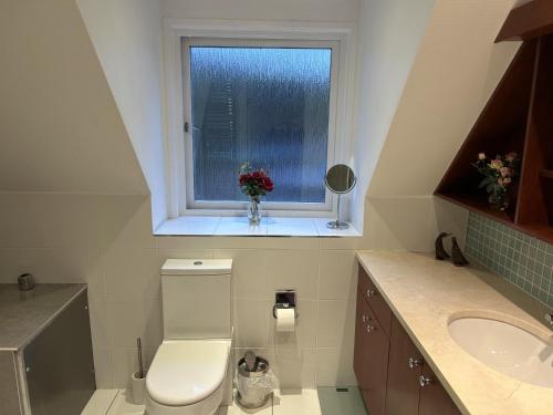 a bathroom with a toilet and a window with flowers at Large 3 bed house with separately bookable studio in Kingston upon Thames