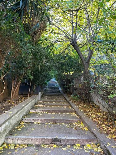 The Vatican Jungle loft con giardino vicino al Vaticano