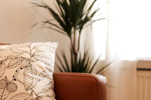 a potted plant sitting next to a couch with a pillow at Cozy and stylish studio in Kamppi in Helsinki