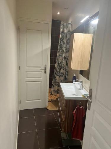 La salle de bains est pourvue d'un lavabo et d'une porte blanche. dans l'établissement Maison de ville St Bruno, à Bordeaux