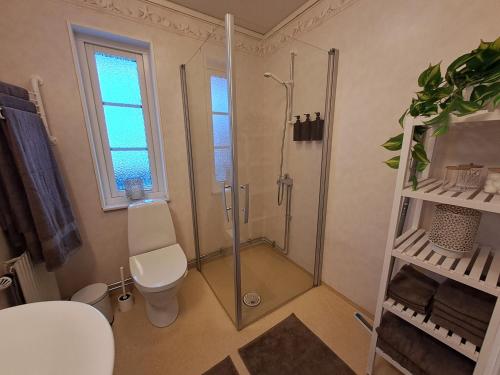 a bathroom with a shower and a toilet at House in Trångsund, 15 min south of Stockholm, free parking, in Trångsund