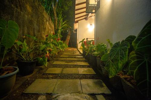 a stone walkway with potted plants on the side of a building at 209 Nooit Gedacht in Unawatuna
