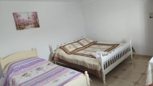a bedroom with two beds in a room at Welcome Guest House in Shkodër
