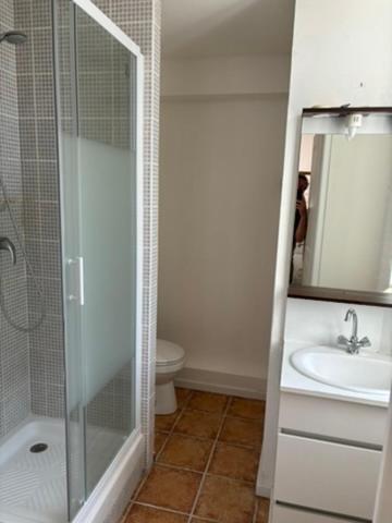 une salle de bain avec douche et lavabo dans l'établissement Maison Tulipe, à Puivert