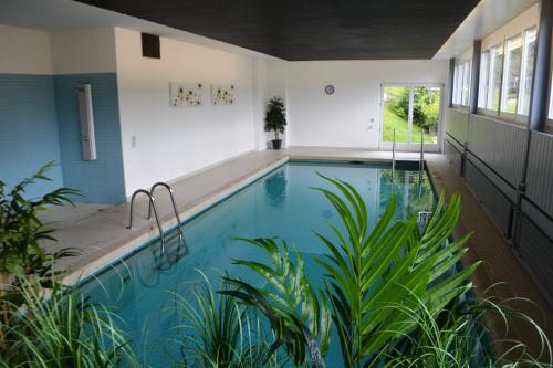 een zwembad in een huis met planten bij Bed and Breakfast Krone in Schellenberg