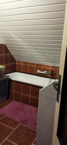 a bathroom with a bath tub with a purple rug at Samostatný domeček in Klášterec nad Ohří