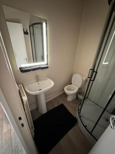 une salle de bain avec un lavabo, des toilettes et un miroir dans l'établissement Black Studio, au Havre