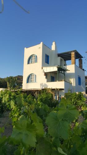 a white house with a lot of green plants at Matina's Family in Mikri Vigla