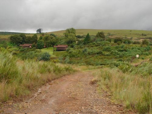 a dirt road in the middle of a field at Lisbon Eco Lodge in Graskop