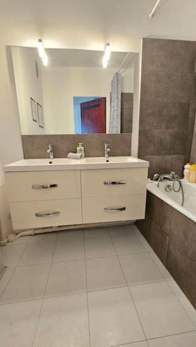 une salle de bain avec un lavabo, un miroir et une baignoire dans l'établissement Le Salin - Terrasse - Parking - Wifi, à Clermont-Ferrand