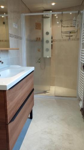 a bathroom with a sink and a shower at La Briarde triple PDJ in Boissy-le-Châtel