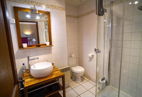 a bathroom with a shower and a sink and a toilet at Château de Ribourdin in Chevannes