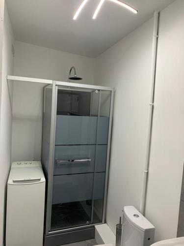 La salle de bains est pourvue d'une cabine de douche en verre à côté des toilettes. dans l'établissement Your flat in Paris-Clichy - Available for the Olympics!, à Clichy