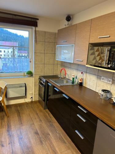科熱諾夫的住宿－APARTMENT OWL，厨房配有水槽和炉灶