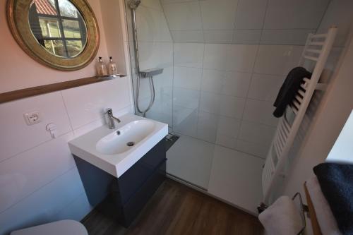 グロース・ヴィッテンゼーにあるHoheluft am Wittensee Apt 2のバスルーム(洗面台、鏡付)
