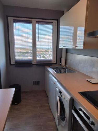 - une cuisine avec un lave-linge, un évier et 2 fenêtres dans l'établissement Studio chaleureux Caen, à Caen