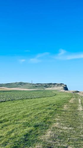 a field of green grass with a dirt road at les Calimottes in Sangatte