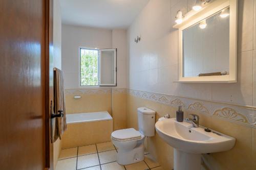 a bathroom with a toilet and a sink and a mirror at Rosana Lake Vinuela in Viñuela