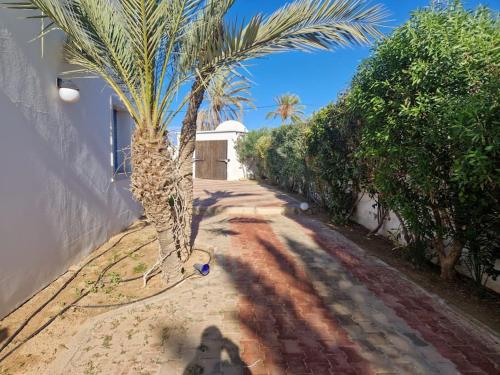 トリッファにあるVilla Dejerba Midounのギャラリーの写真