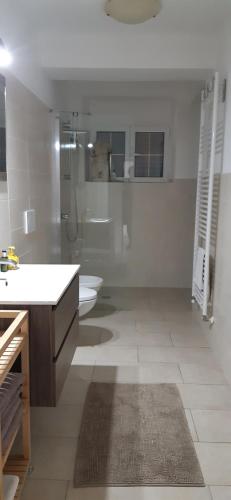 La salle de bains est pourvue d'une douche, de toilettes et d'un lavabo. dans l'établissement Casa Valtaro, à Borgo Val di Taro