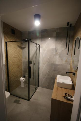 Apartament ARS Platinium Wisła في فيسلا: حمام مع دش زجاجي ومغسلة