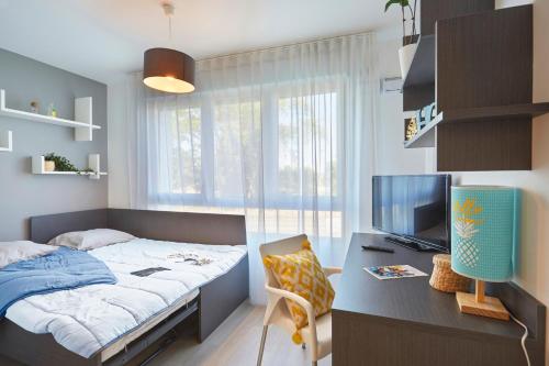 阿斯克新城的住宿－Résidence Néméa, Villeneuve Pont de Bois，一间卧室配有一张床和一张书桌及电视