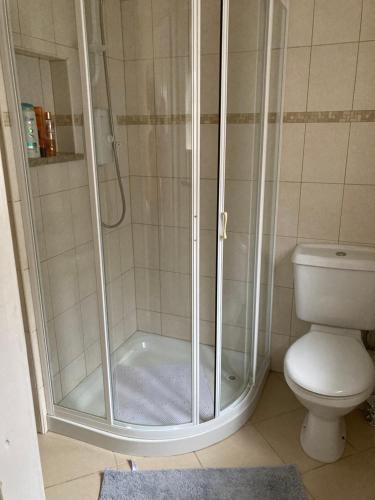 a shower in a bathroom with a toilet at Woodside in Nenagh