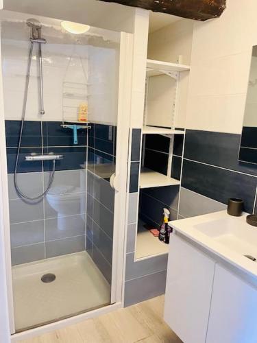 une salle de bain avec une douche avec des toilettes et un lavabo dans l'établissement Une Chaumière à Port Manech', à Névez
