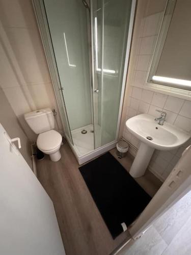 ein Bad mit einer Dusche, einem WC und einem Waschbecken in der Unterkunft L'Eco Studio in Le Havre