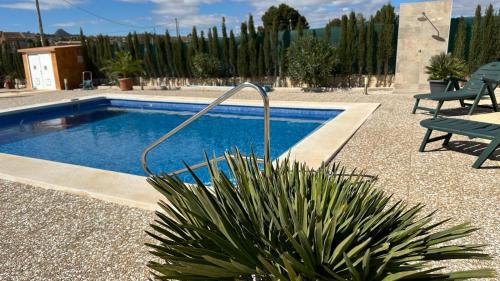 - une piscine avec une plante à côté d'un banc dans l'établissement SUN VILLA, à Hondón de los Frailes