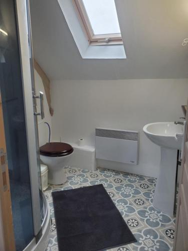 ein Badezimmer mit einem WC und einem Waschbecken mit einem Dachfenster in der Unterkunft Maison au calme Plessala Le Mené in Saint-Udy