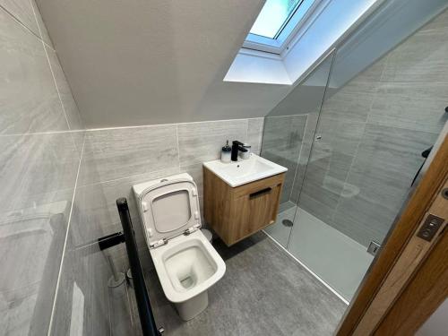 a bathroom with a toilet and a sink and a skylight at Peacock cottage in Ewenny