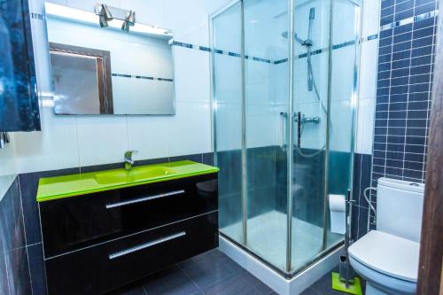 a bathroom with a sink and a glass shower at KARRAKELLA apartamentua con aire in Orio