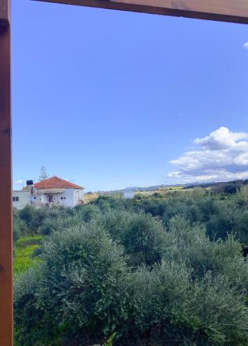NICOL's HOUSE