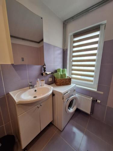 a bathroom with a sink and a washing machine at Barona ielas apartamenti in Sigulda