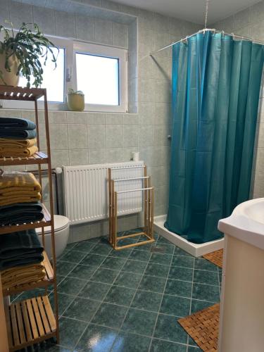 bagno con doccia e tenda blu di Vanessa Apartment a Lubiana