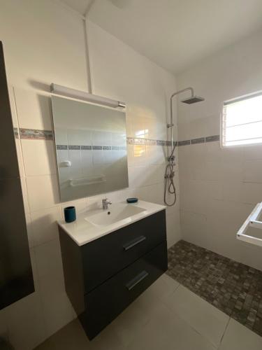 un baño con lavabo y espejo en Appartement Kay Nephile - vue mer - Grande Anse, en Les Anses-dʼArlet