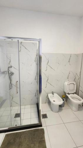 a bathroom with a shower and a toilet at Rino's Apartment 1 in Shkodër