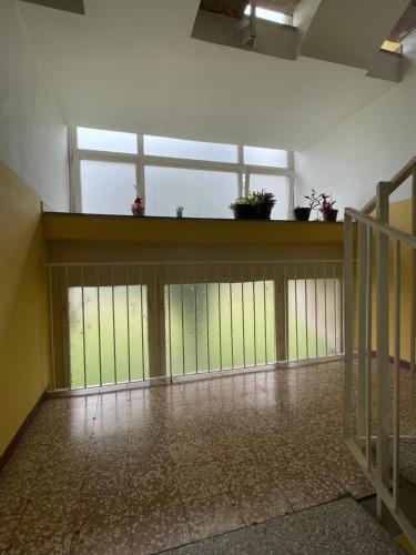 an empty room with windows and plants on a shelf at Hostel Arena in Zagreb