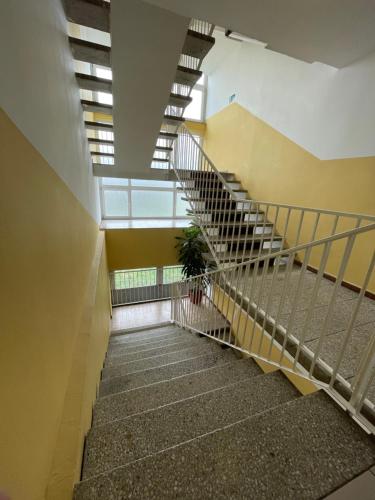a staircase in a building with a potted plant at Hostel Arena in Zagreb