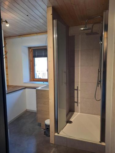 een badkamer met een douche en een wastafel bij gîte des 2 Lions in Murs-et-Gélignieux