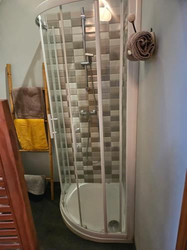 une douche avec une porte vitrée dans une salle de bain dans l'établissement LA GRANGE DE LA VALLÉE DU CHER, à Chissay-en-Touraine