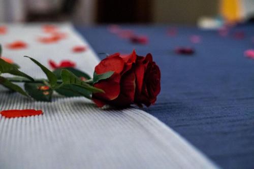 Fotografie z fotogalerie ubytování Motel Paraíso do Braseiro v destinaci Vila Nova de Gaia