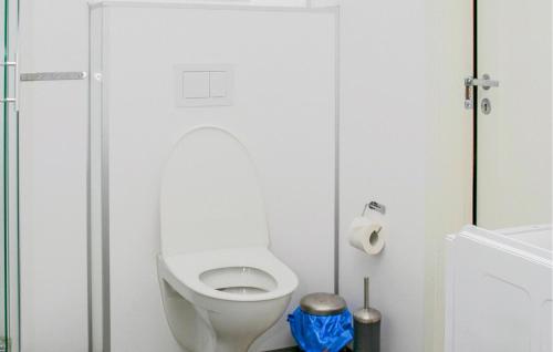 een badkamer met een wit toilet in een stal bij Stunning Home In Sjernary With Kitchen in Sjernarøy
