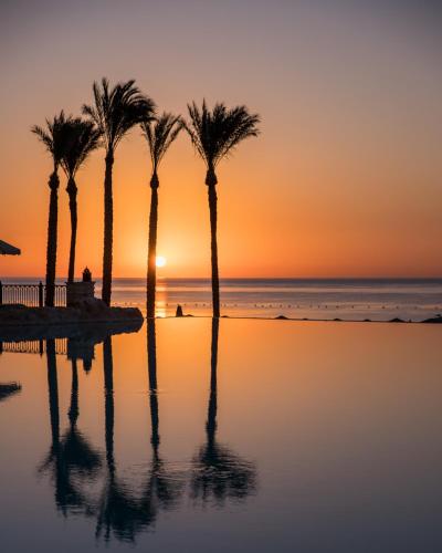 a group of palm trees on the beach at sunset at The Makadi Spa Hotel - Couples Only 18 Years Plus in Hurghada