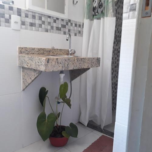 a bathroom with a sink and a potted plant at Andrade 2 in Rio de Janeiro