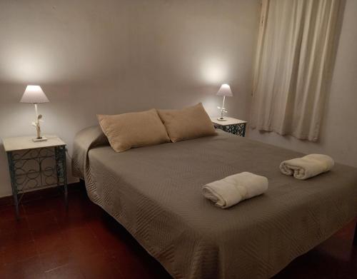 1 dormitorio con 1 cama con 2 almohadas en Casa Eusebio - Catamarca capital en San Fernando del Valle de Catamarca