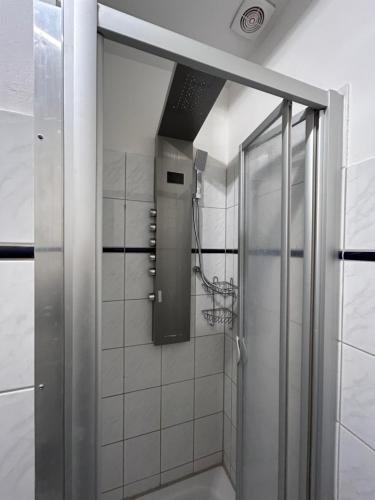 a shower with a glass door in a bathroom at Ferienwohnung am Theaterplatz in Meißen